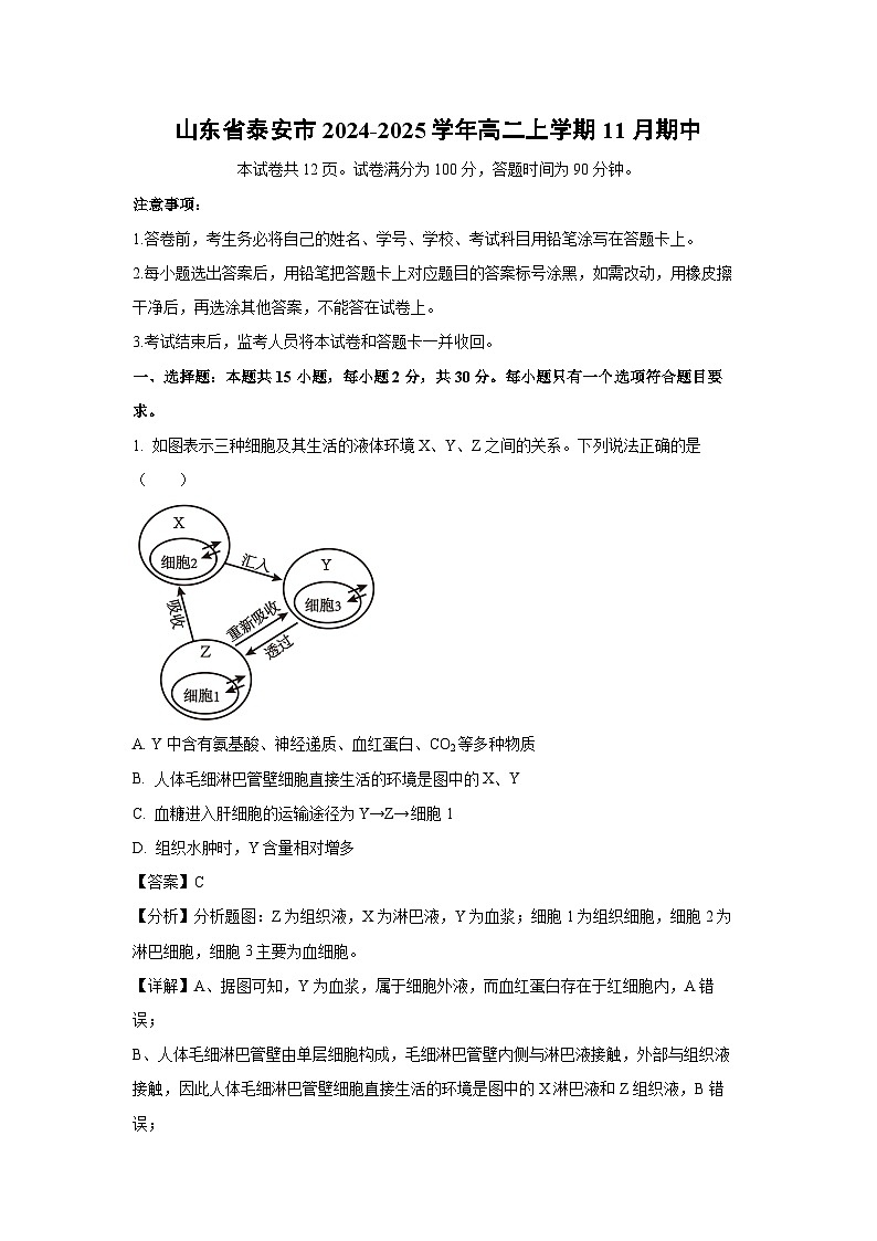 山东省泰安市2024-2025学年高二（上）11月期中生物试卷（解析版）第1页