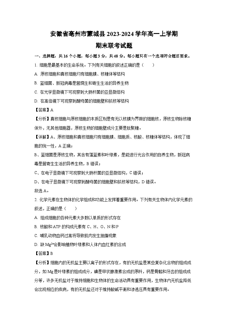 安徽省亳州市蒙城县2023-2024学年高一（上）期末联考生物试卷（解析版）第1页