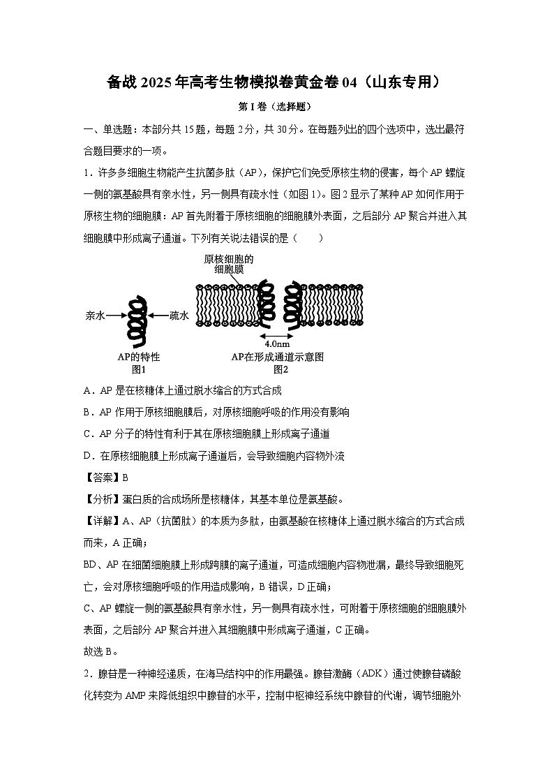 备战2025年高考生物模拟卷黄金卷04（山东专用）生物试卷（解析版）第1页