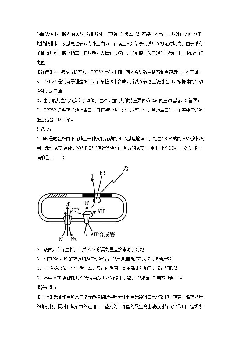 备战2025年高考生物模拟卷03（山东专用）生物试卷（解析版）第3页