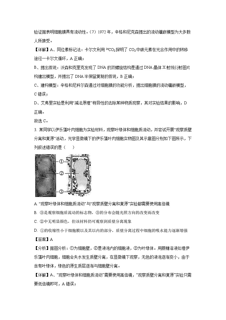 2025届安徽省江淮十校高三第二次联考生物试卷（解析版）第3页