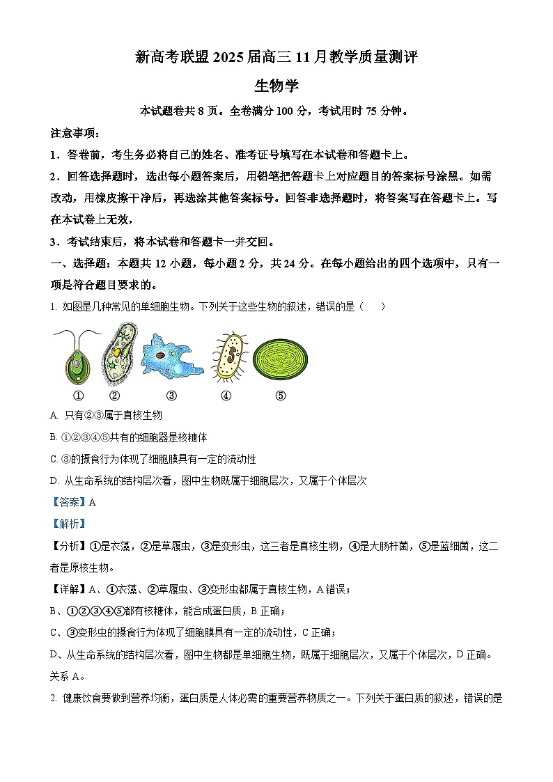 江西省赣州市上犹县2024-2025学年高三上学期 11 月教学质量测评模拟预测生物试题  Word版含解析第1页