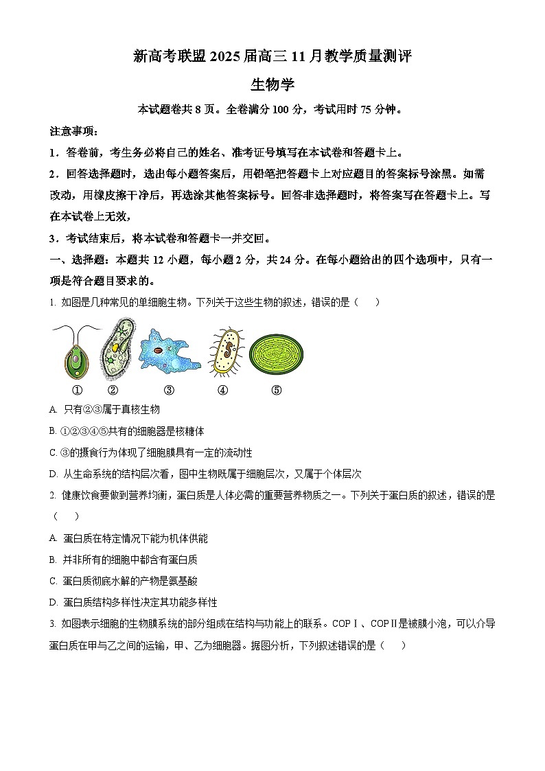 江西省赣州市上犹县2024-2025学年高三上学期 11 月教学质量测评模拟预测生物试题  Word版无答案第1页
