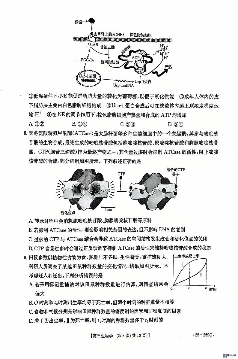 河北省“五个一”名校联盟2024-2025学年高三上学期12月月考生物试题第3页
