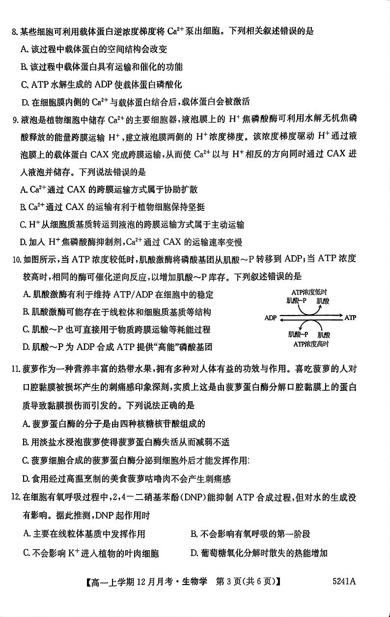 贵州省六盘水市2024-2025学年上学期高一12月月考生物试卷第3页