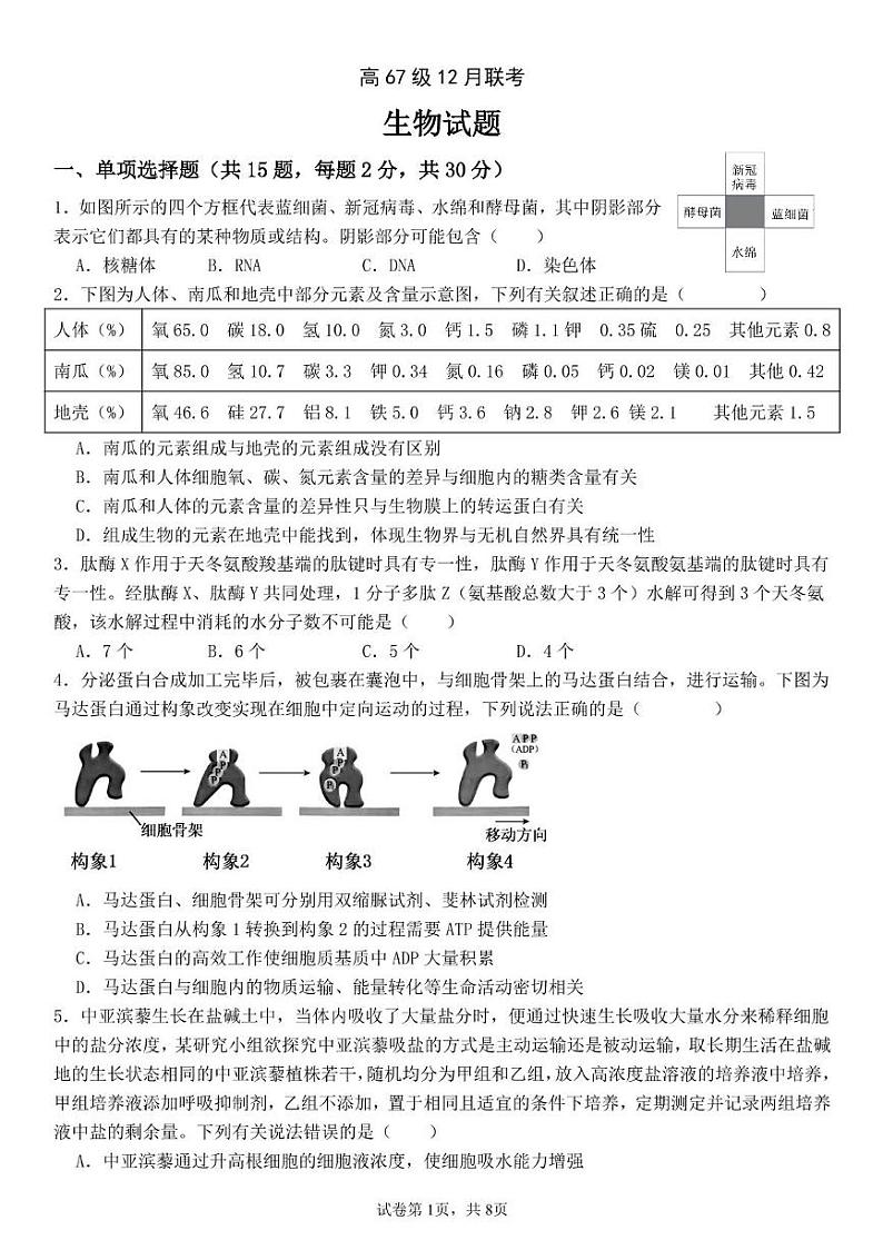 山东省潍坊市2024—2025学年高一上学期12月联考生物试题第1页