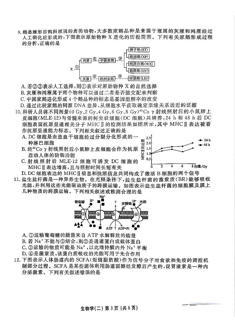 河北省衡水金卷先享题2025届高三上学期高考一轮复习夯基卷（二）-生物试题+答案第3页