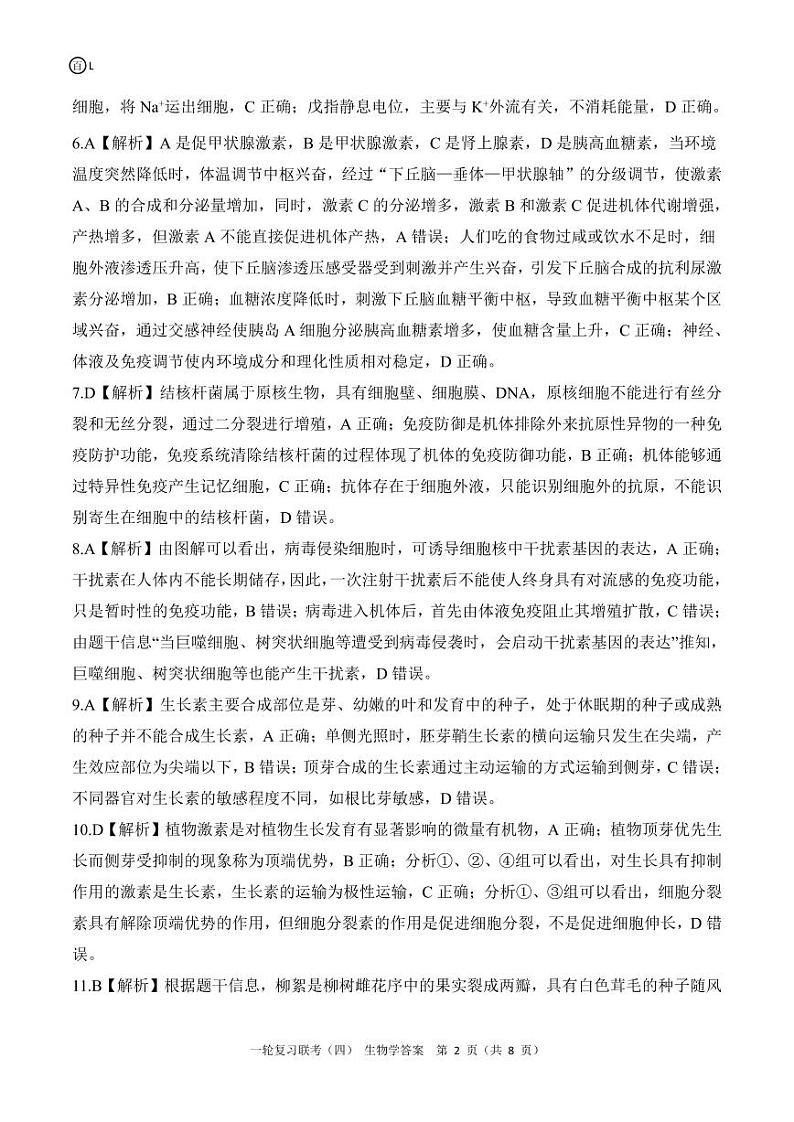 百师联盟2025届高三一轮复习联考（四）生物答案（百L）第2页