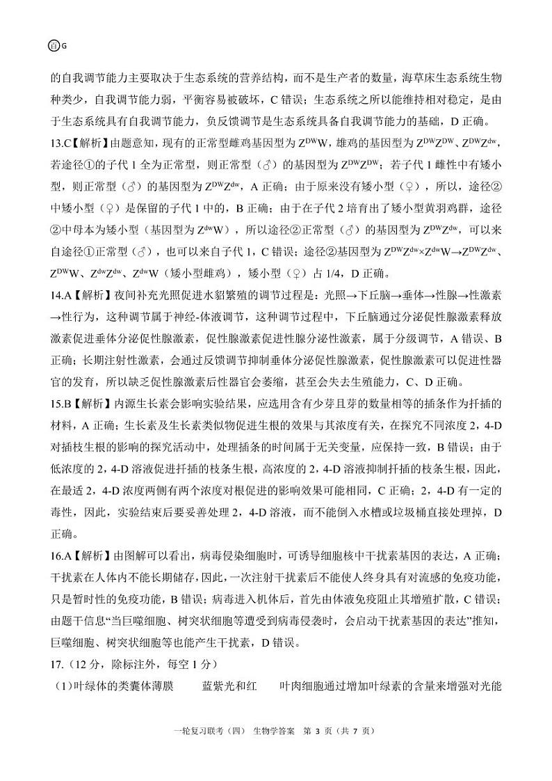 百师联盟2025届高三一轮复习联考（四）生物答案（百G）第3页