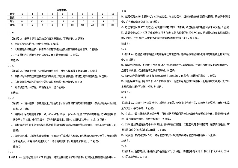 内蒙古自治区巴彦淖尔市第一中学2024-2025学年高三上学期12月月考生物答案第1页