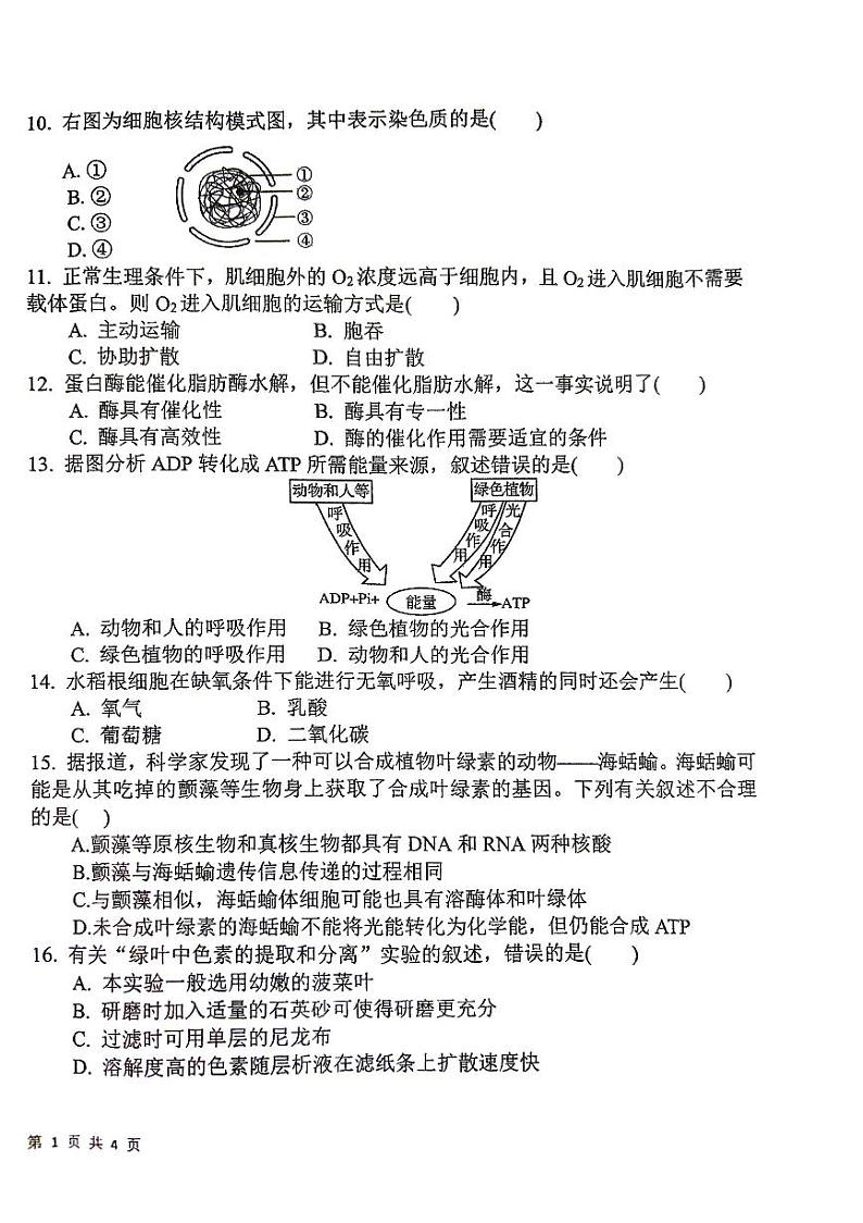 2025江苏省四市十一校联盟高二上学期12月阶段联测试题生物PDF版无答案第2页