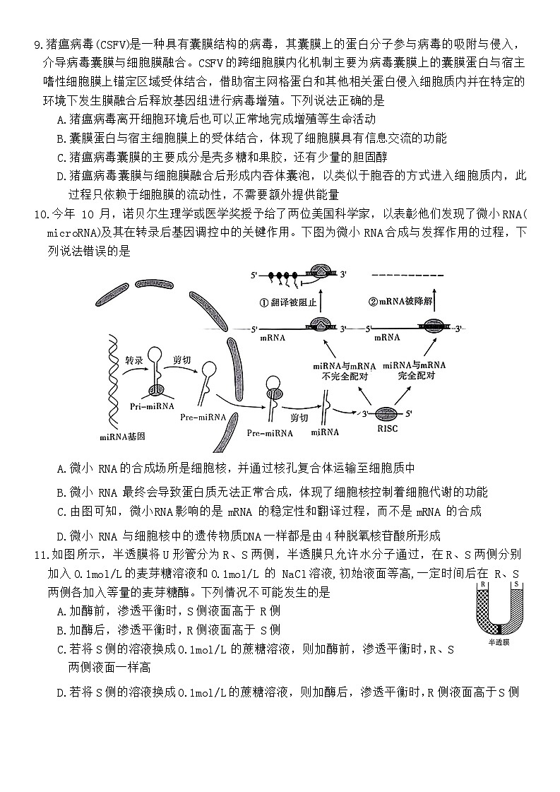 湖南省五市十校教研教改共同体2024-2025学年高一上学期12月大联考生物试卷第3页