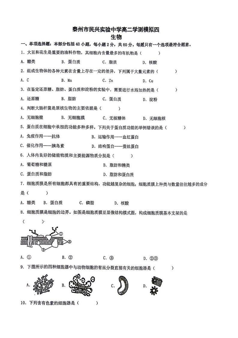 江苏省泰州市海陵区民兴实验中学2024-2025学年高二上学期学业水平测试模拟生物试卷4第1页