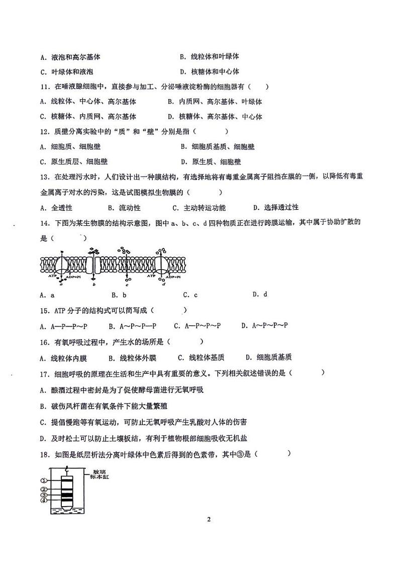江苏省泰州市海陵区民兴实验中学2024-2025学年高二上学期学业水平测试模拟生物试卷4第2页