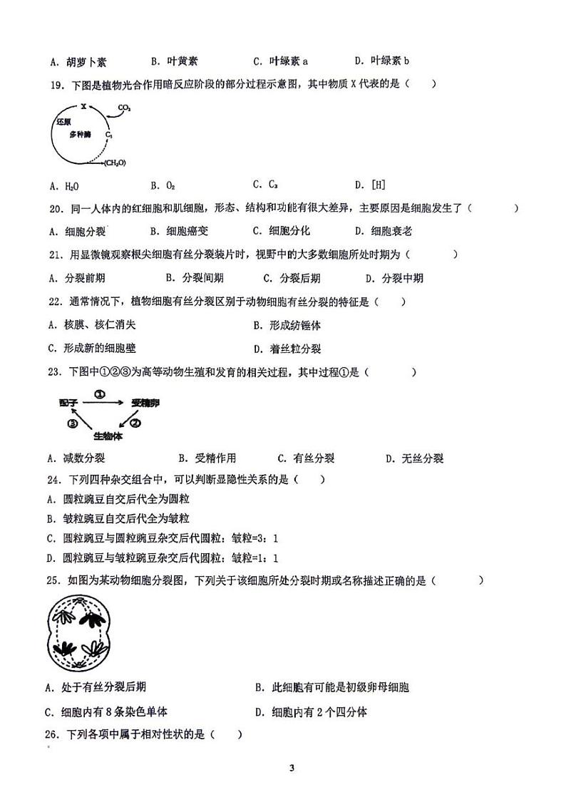 江苏省泰州市海陵区民兴实验中学2024-2025学年高二上学期学业水平测试模拟生物试卷4第3页