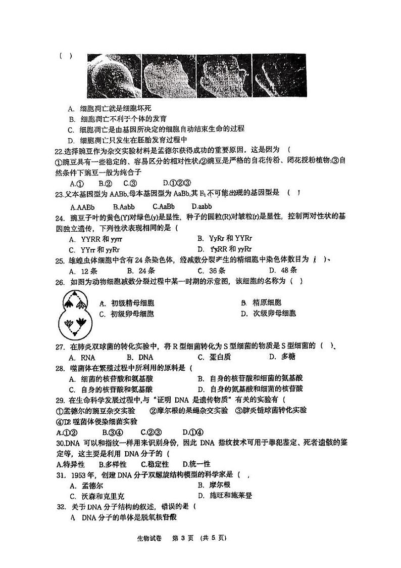 江苏省南通市通州高级中学2024-2025学年高二上学期学业水平合格考第二次模拟考试生物试题第3页