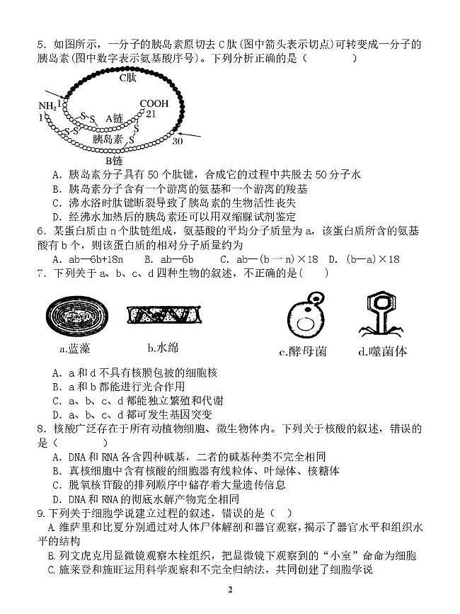 湖南省邵阳市海谊中学2024-2025学年高一上学期11月月考生物试题第2页