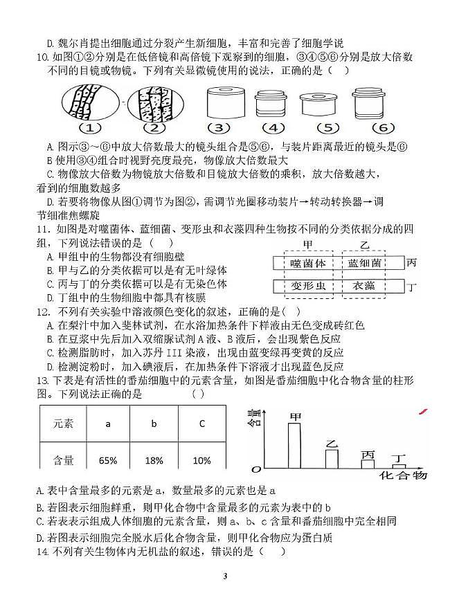 湖南省邵阳市海谊中学2024-2025学年高一上学期11月月考生物试题第3页