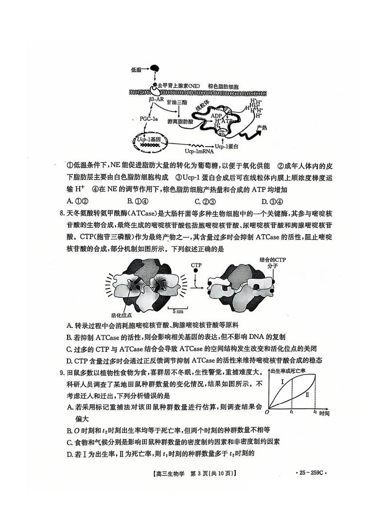 河北省五个一名校联盟金太阳2025届高三高考上学期第一轮复习-生物试卷+答案第3页