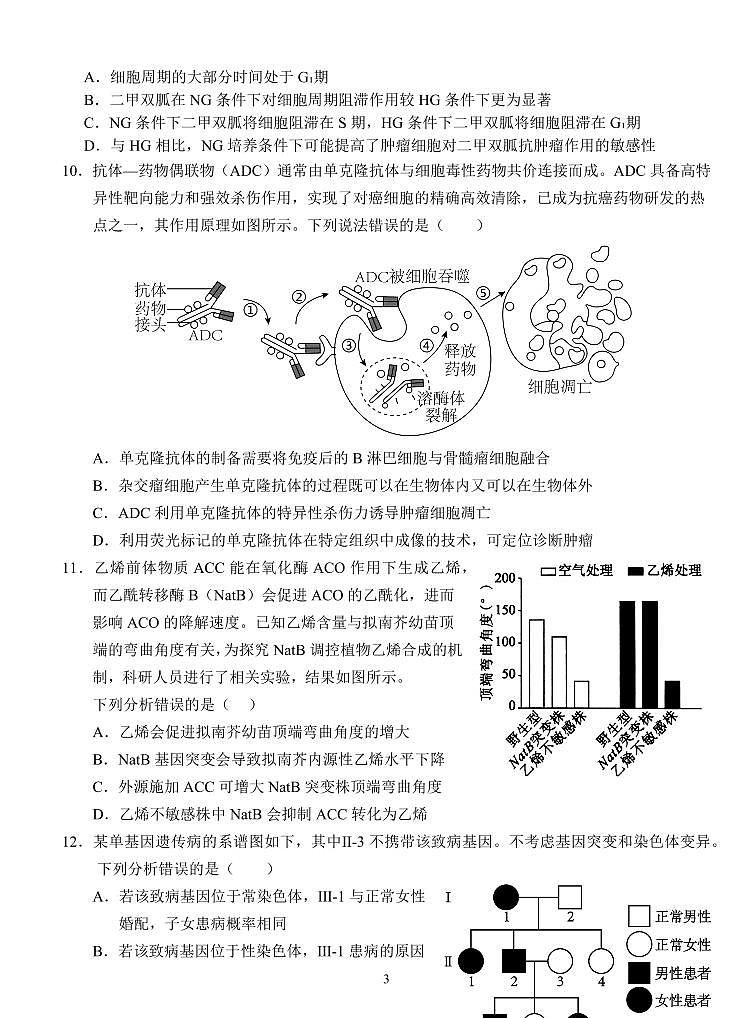 湖北省荆州市沙市中学2025届高三上学期12月考-生物试题+答案第3页