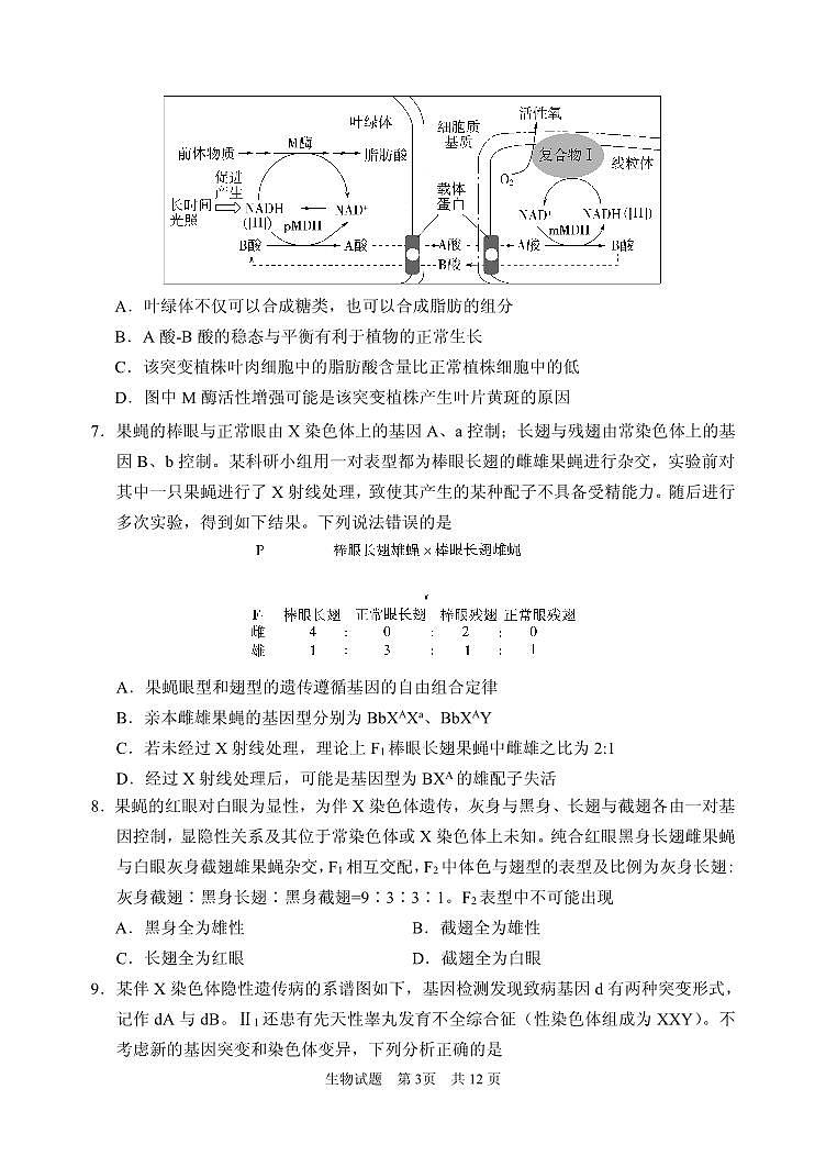 2024年11月高三 实验二诊生物试题第3页