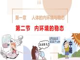 1.2内环境的稳态课件-2024-2025学年高二上学期生物人教版选择性必修1