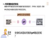 1.2内环境的稳态课件-2024-2025学年高二上学期生物人教版选择性必修1
