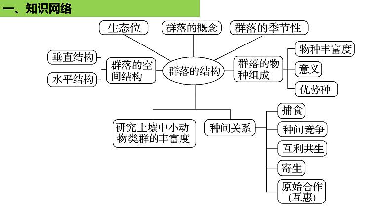 2025届高三生物一轮复习课件 群落的结构第3页