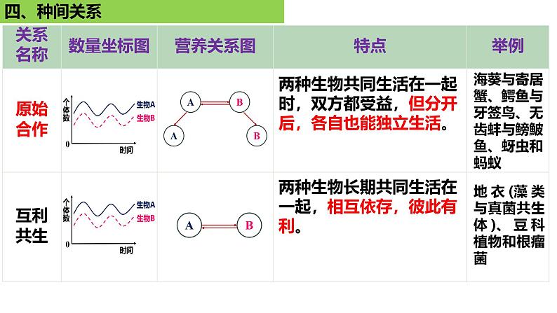 2025届高三生物一轮复习课件 群落的结构第8页