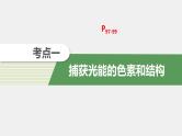 2025届高三一轮复习生物：光与光合作用课件