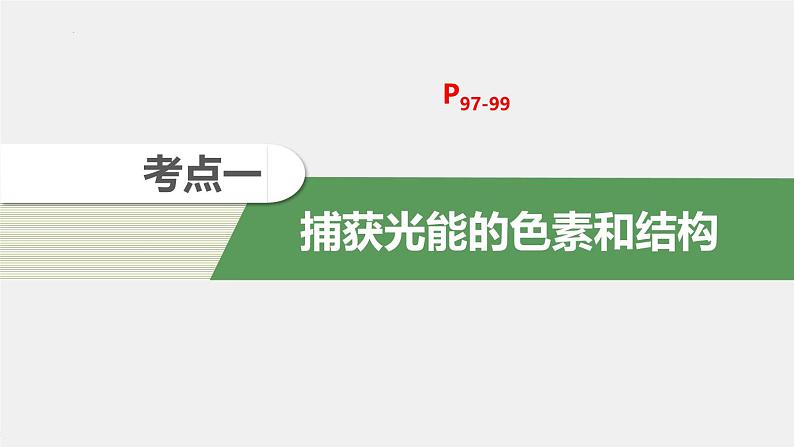 2025届高三一轮复习生物：光与光合作用课件第2页