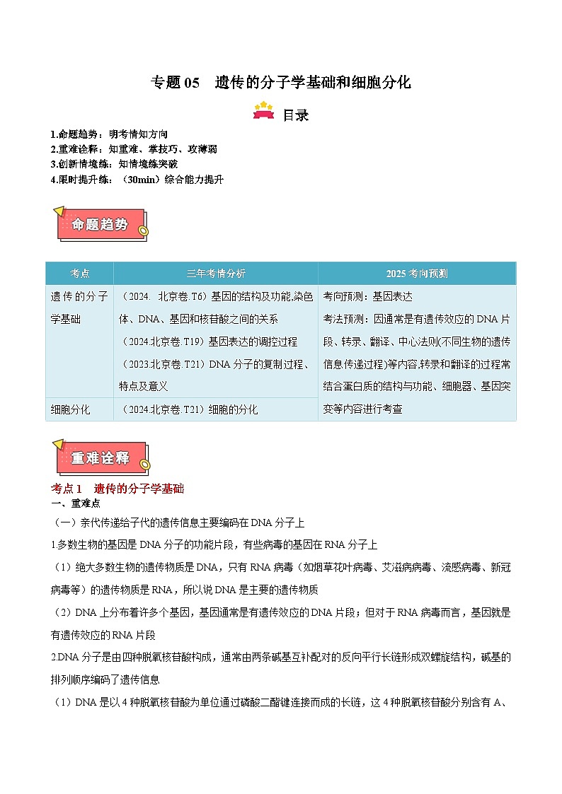 专题05  遗传的分子学基础和细胞分化-2025年高考生物 热点 重点 难点 专练（北京专用）（解析版）第1页