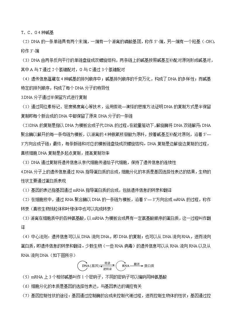 专题05  遗传的分子学基础和细胞分化-2025年高考生物 热点 重点 难点 专练（北京专用）（解析版）第2页