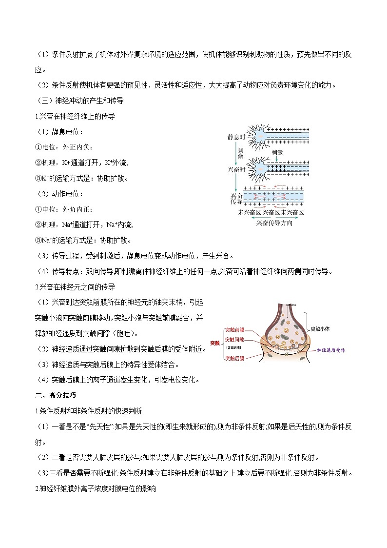 专题07  动物生命活动的调节-2025年高考生物 热点 重点 难点 专练（北京专用）（解析版）第3页