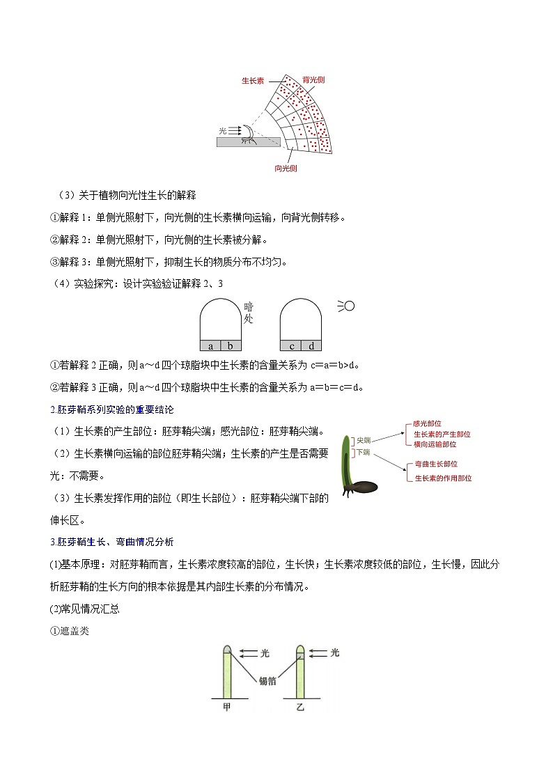 专题08  植物生命活动的调节-2025年高考生物 热点 重点 难点 专练（北京专用）(原卷版）第3页