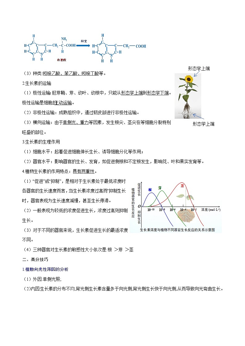 专题08  植物生命活动的调节-2025年高考生物 热点 重点 难点 专练（北京专用）(解析版）第2页