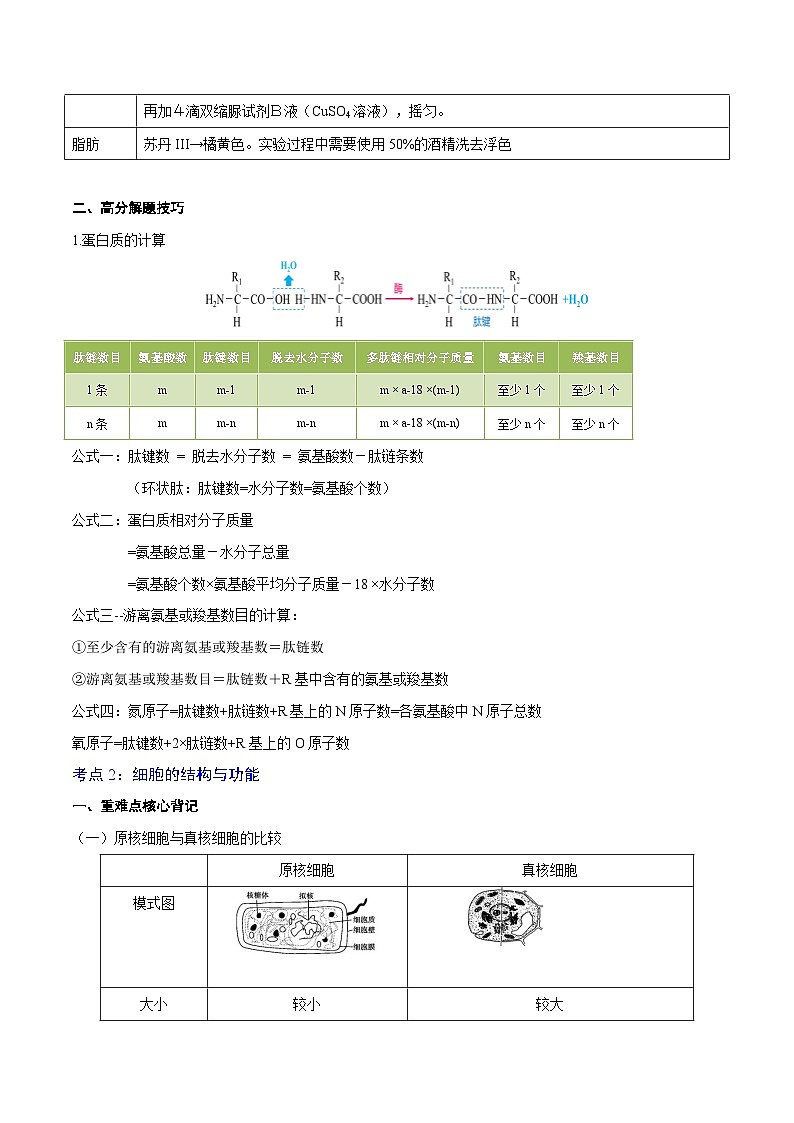 重难点01 细胞的分子组成-2025年高考生物 热点 重点 难点 专练（北京专用）（解析版）第3页