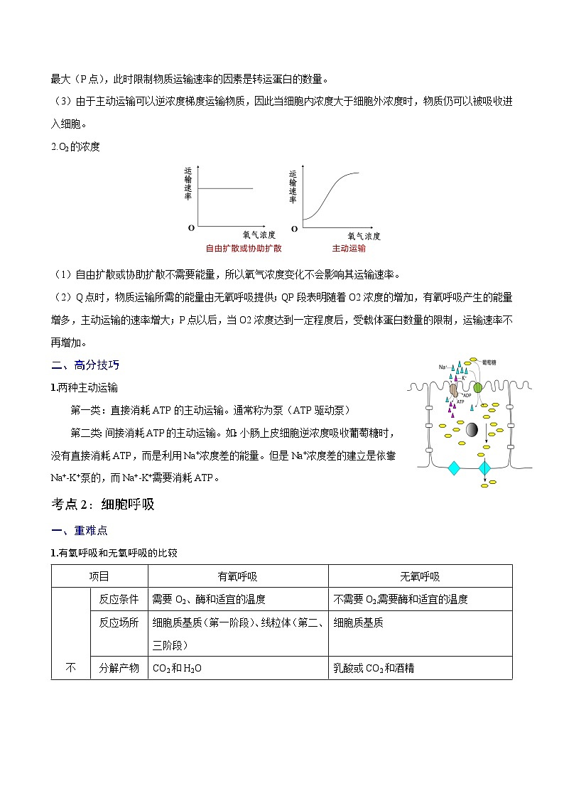 重难点02 细胞代谢-2025年高考生物 热点 重点 难点 专练（北京专用）（解析版）第3页