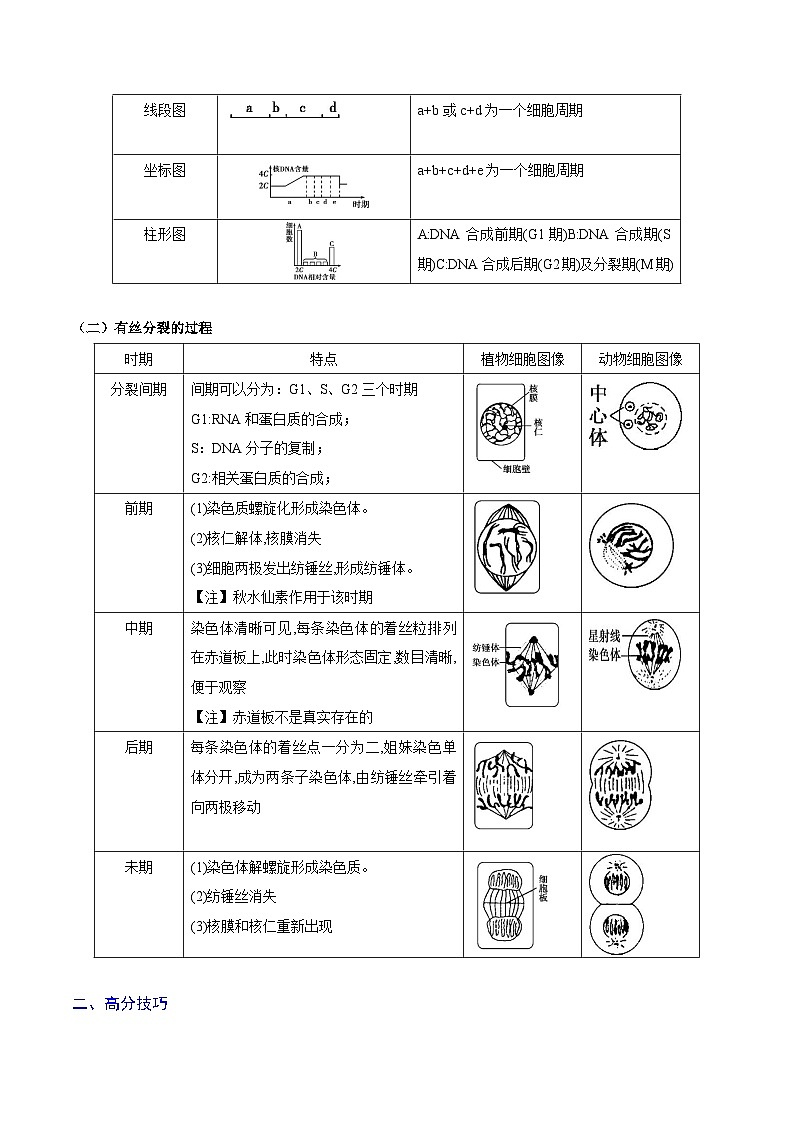 重难点03 细胞分裂-2025年高考生物 热点 重点 难点 专练（北京专用）（原卷版）第2页
