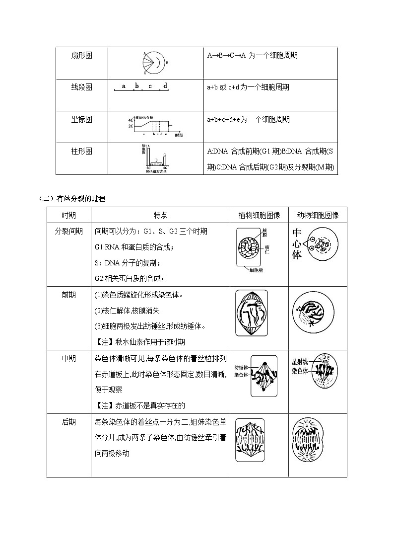 重难点03 细胞分裂-2025年高考生物 热点 重点 难点 专练（北京专用）（解析版）第2页