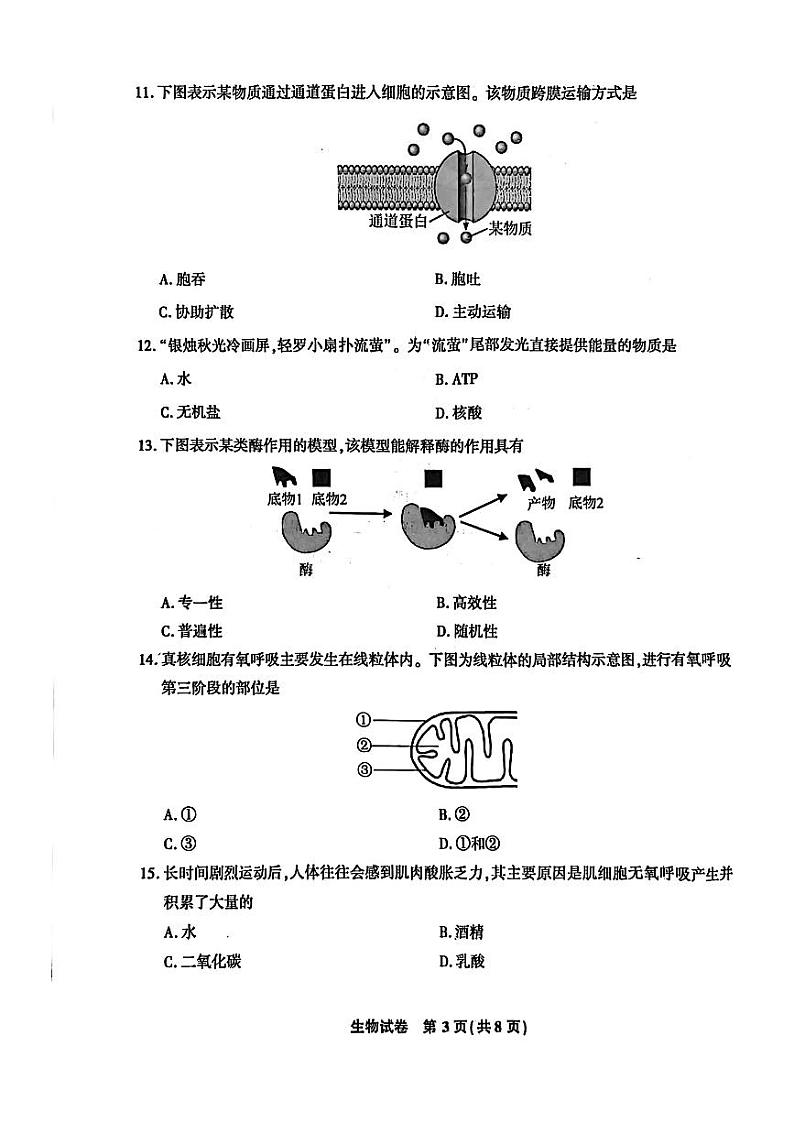 2022年江苏省普通高中学业水平合格性考试生物试卷第3页