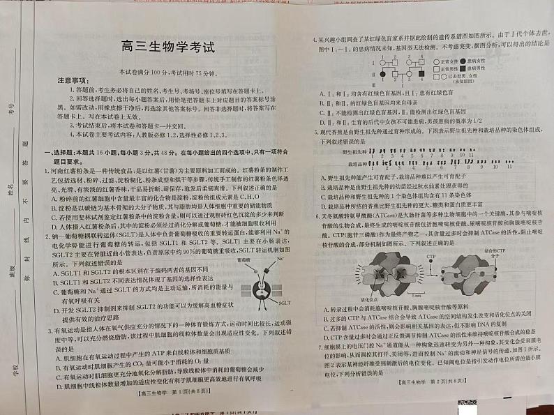 青海省部分高中2024-2025学年高三上学期12月联考生物试卷第1页