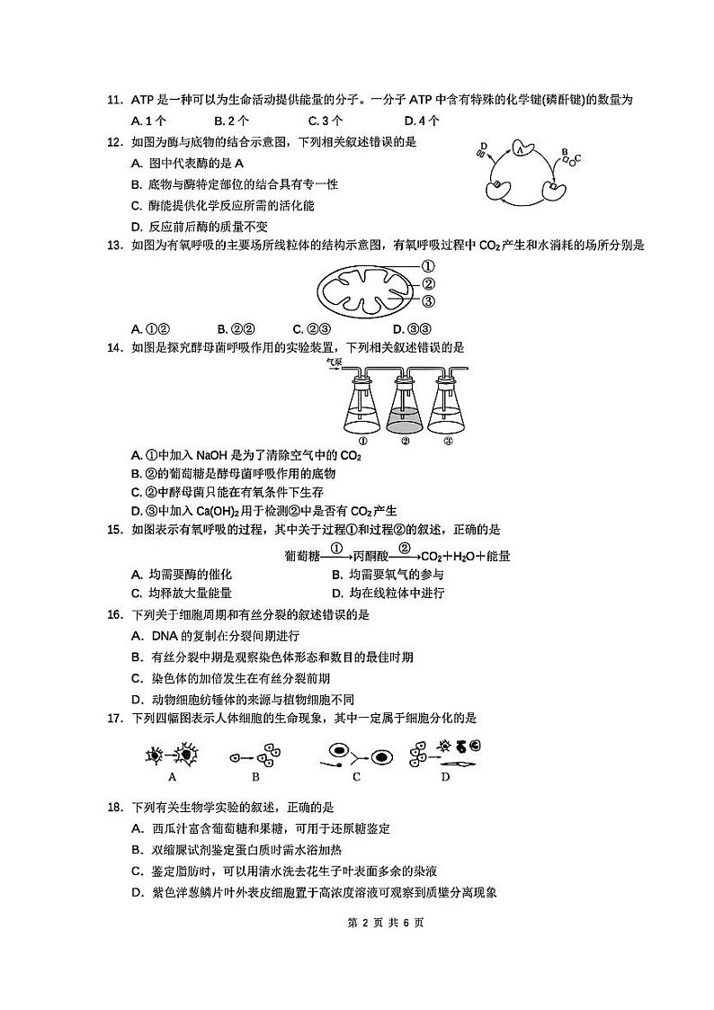 江苏省镇江市京口区江苏省镇江第一中学2024-2025学年高二上学期学业水平考试生物试题第2页