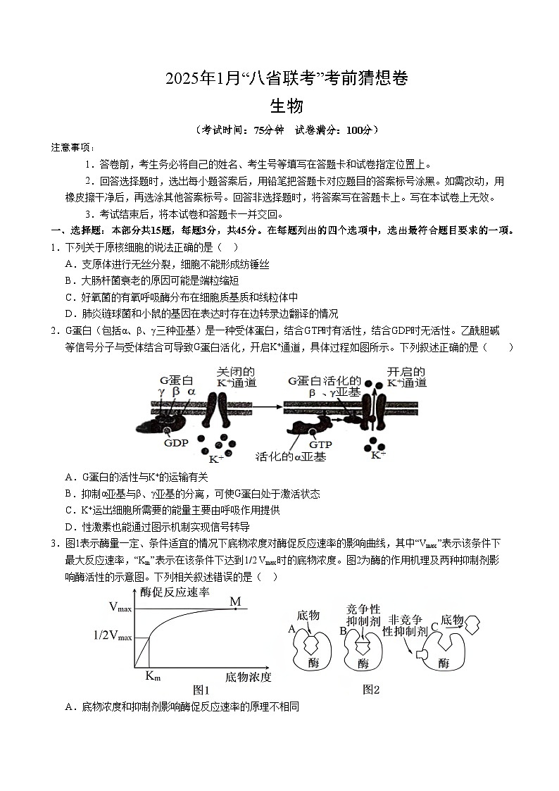 八省2025届高三“八省联考”考前猜想卷生物（15+5）考试版A4第1页