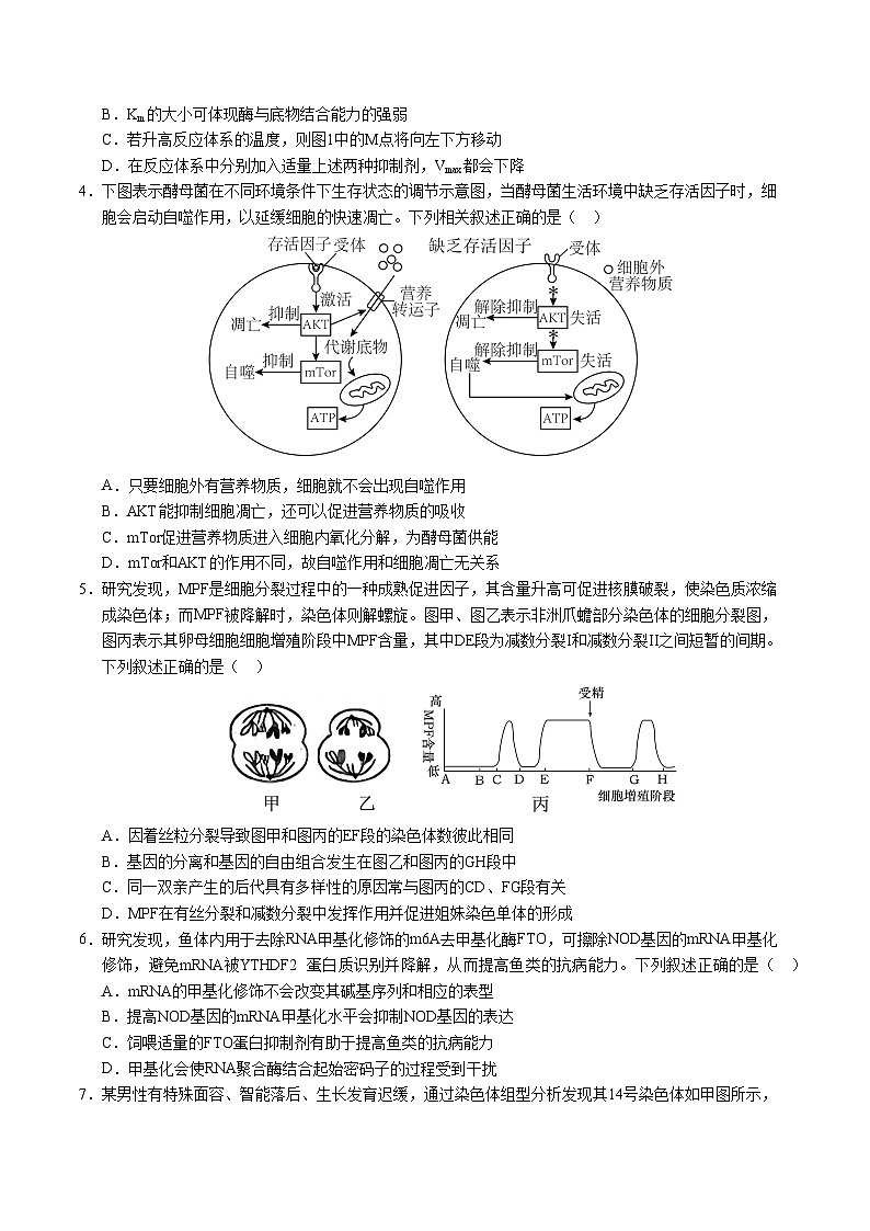 八省2025届高三“八省联考”考前猜想卷生物（15+5）考试版A4第2页