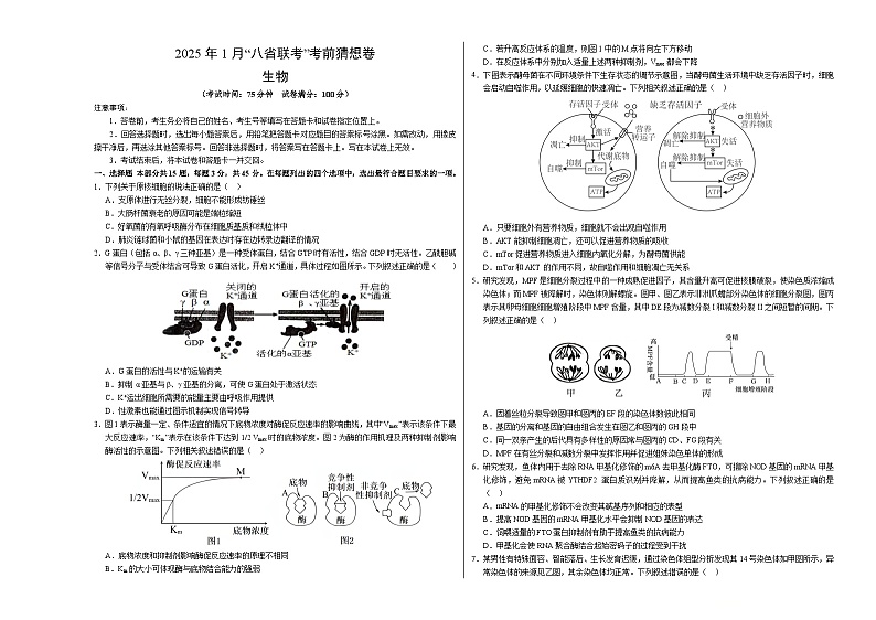 八省2025届高三“八省联考”考前猜想卷生物（15+5）考试版A3第1页