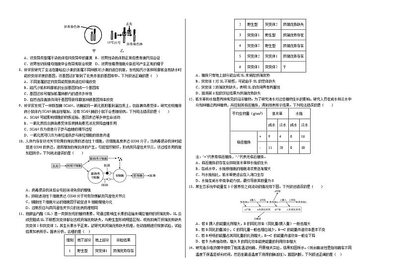 八省2025届高三“八省联考”考前猜想卷生物（15+5）考试版A3第2页