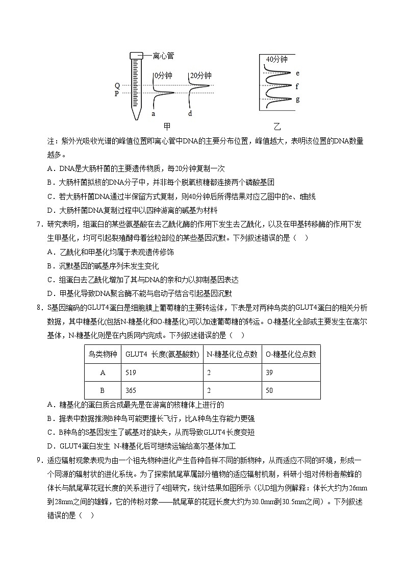 八省2025届高三“八省联考”考前猜想卷生物（16+5）考试版A4第3页