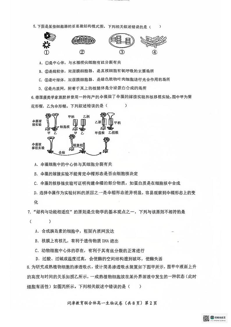 2025武汉问津教育联合体高一上学期12月月考生物试题PDF版无答案第2页