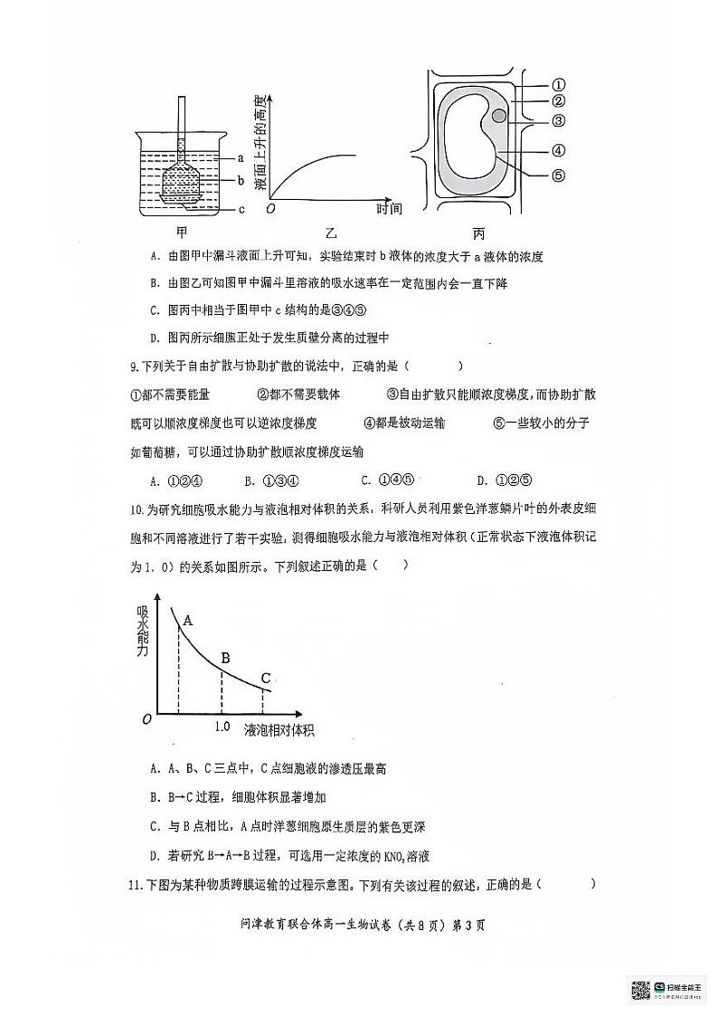 2025武汉问津教育联合体高一上学期12月月考生物试题PDF版无答案第3页